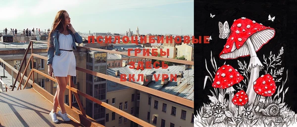 ешки Верея