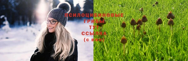 бошки Верхнеуральск
